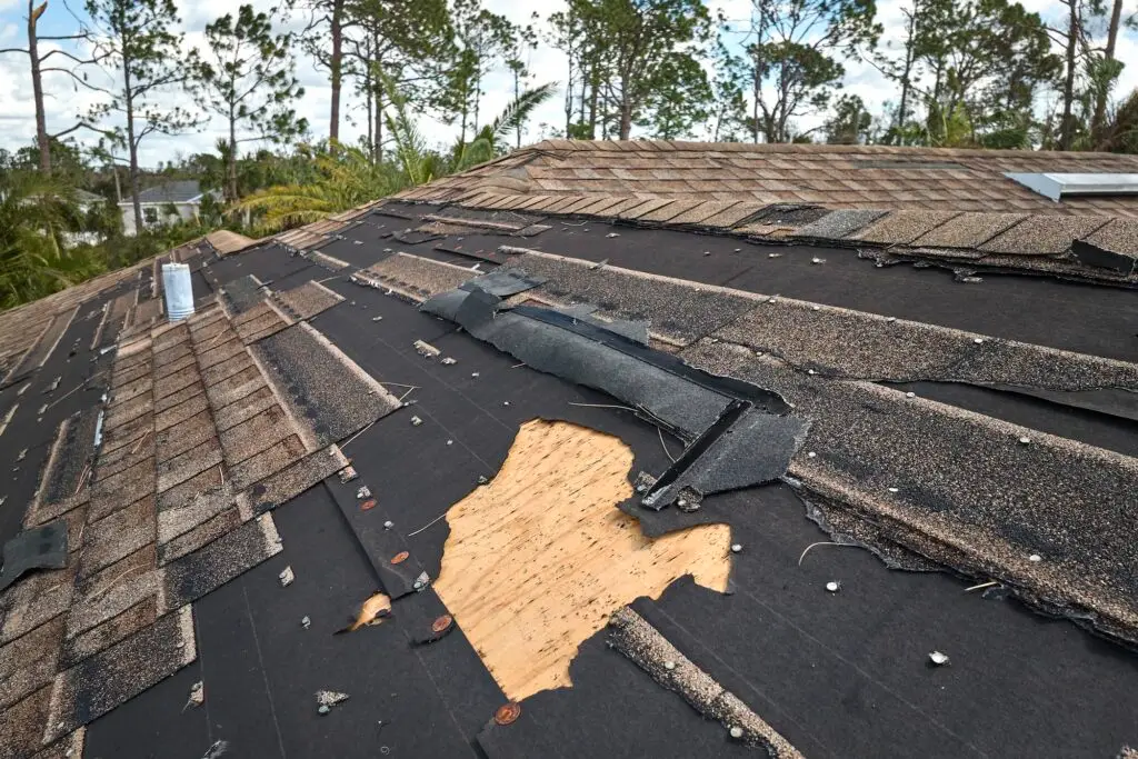 storm damage